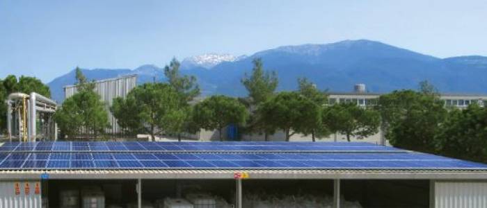 Our Solar Panels Started Production